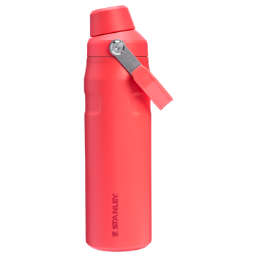 Hot Coral